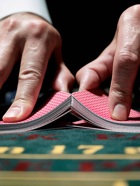 555bet cassino